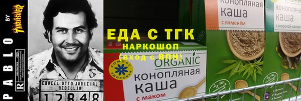 индика Чекалин