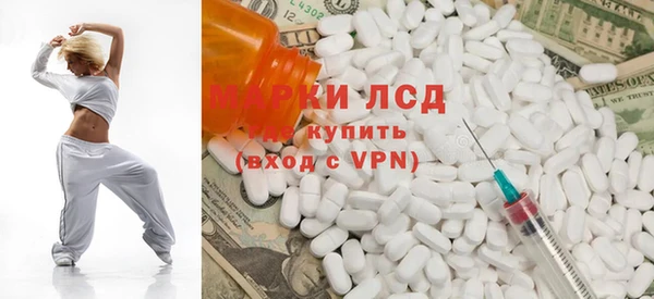 индика Чекалин