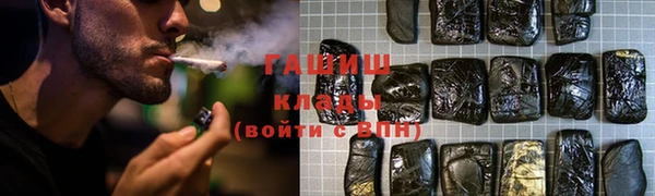 индика Чекалин