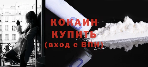 индика Чекалин