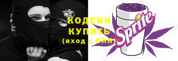 индика Чекалин