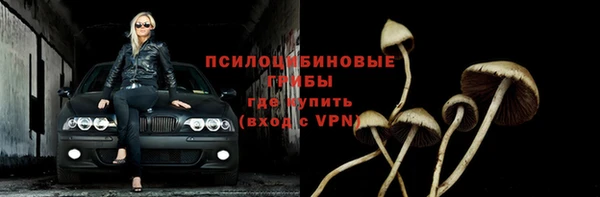 apvp Чегем