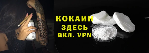 индика Чекалин
