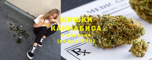 индика Чекалин