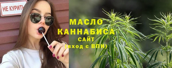 индика Чекалин