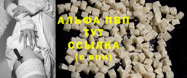 индика Чекалин