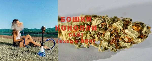 индика Чекалин