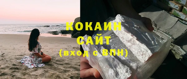 индика Чекалин